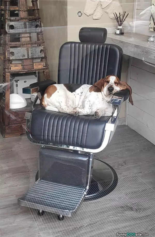 Chilling In My Chair