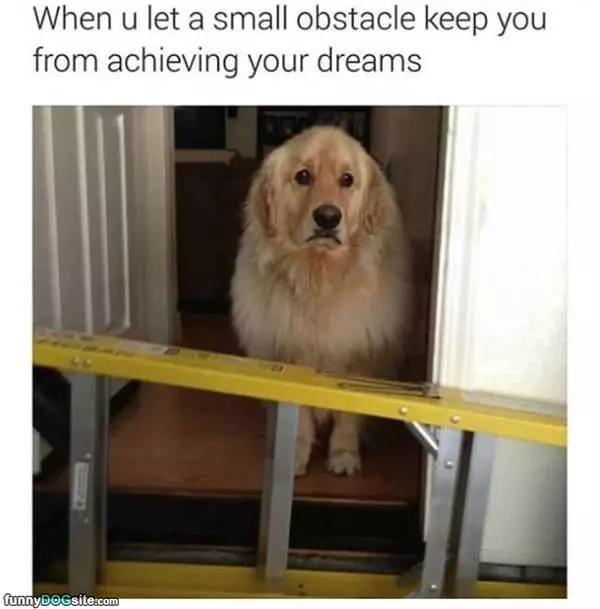 A Small Obstacle
