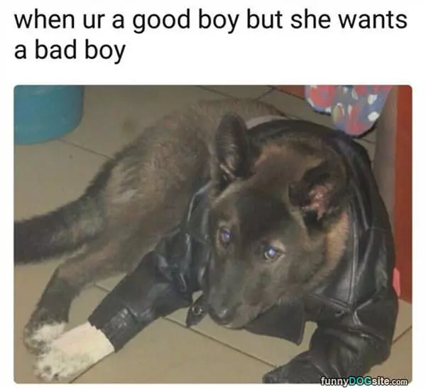 But She Wants A Bad Boy