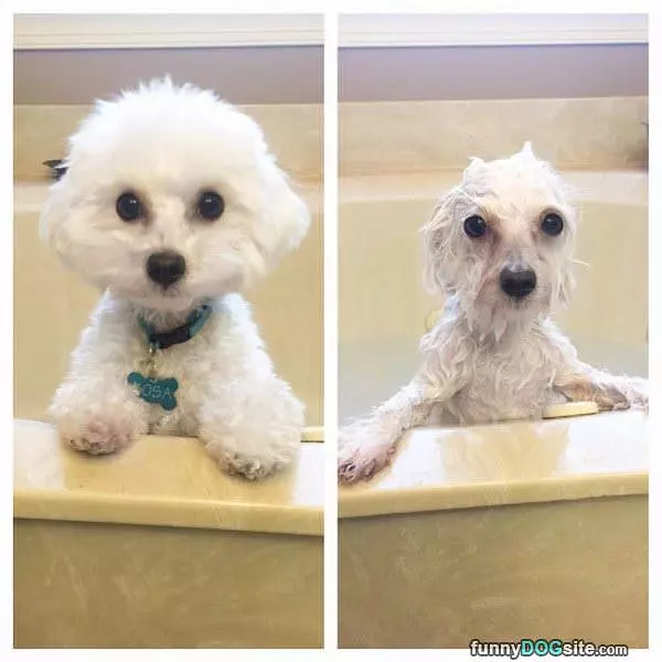 Before And After Bath