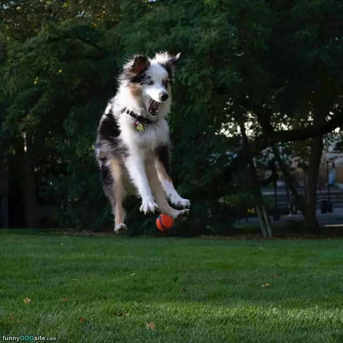 Jumping For The Ball