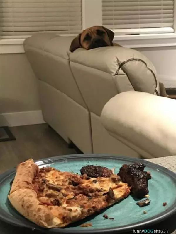 I See What You Are Eating