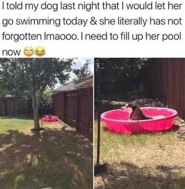 I Have My Tiny Pool