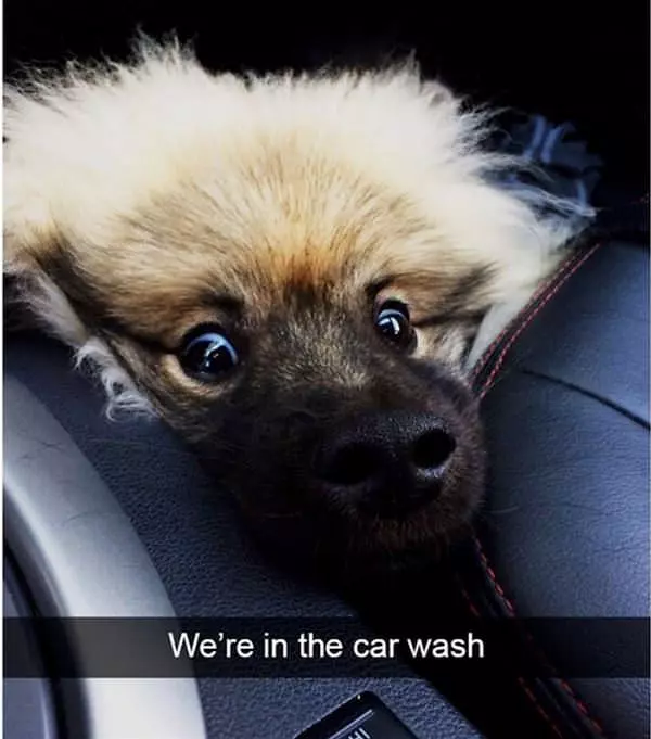 We Are In The Car Wash