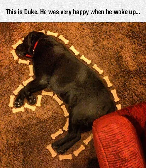 Duke Was Happy