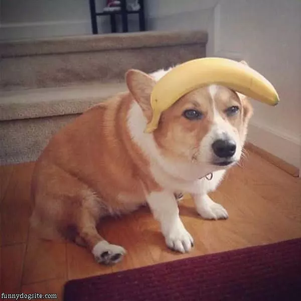 Banana Balance