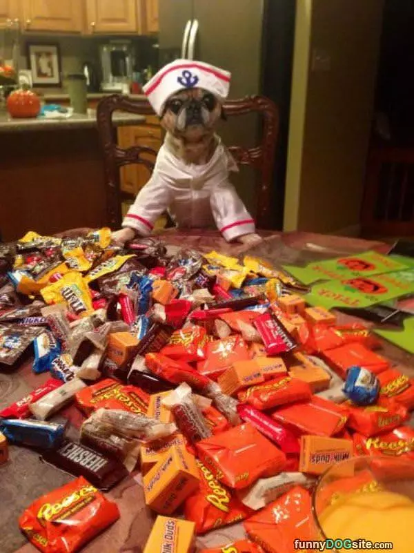Trick Or Treated