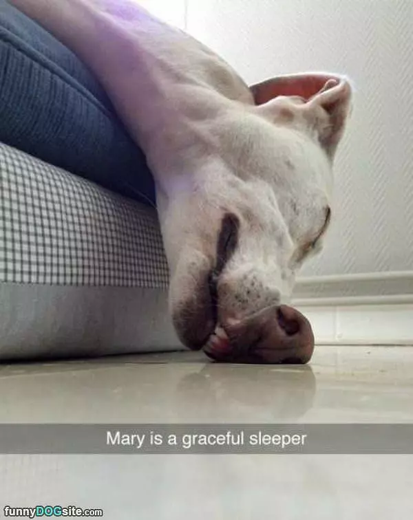 A Graceful Sleeper