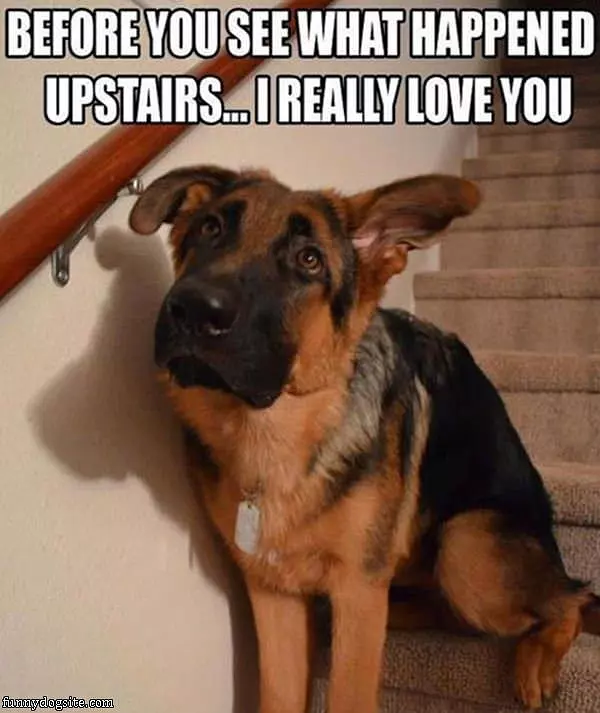 Before You Go Upstairs