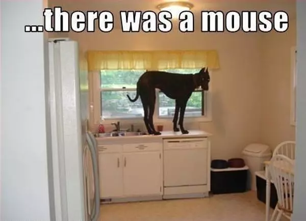 There Was A Mouse
