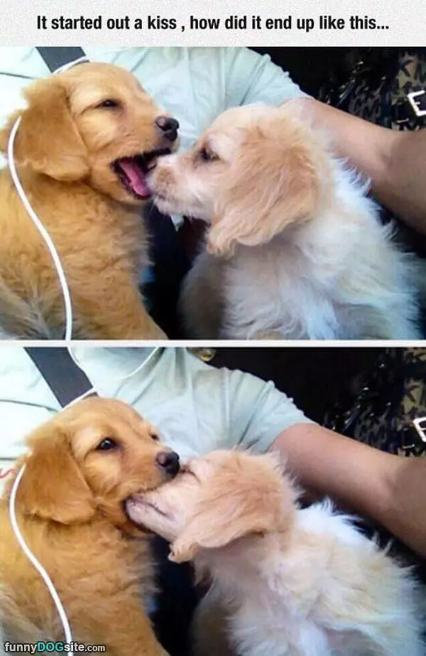 Started With A Kiss