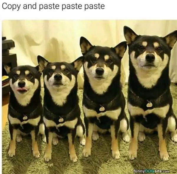 Copy And Paste