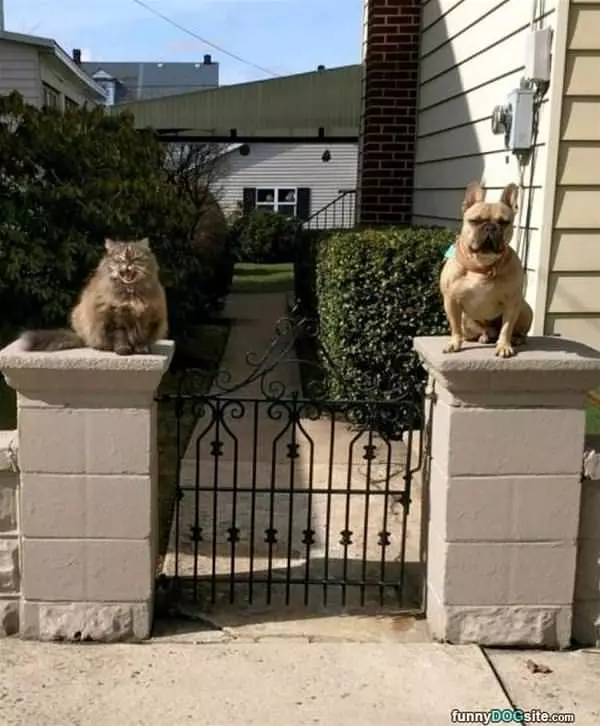 Guardians Of This Property