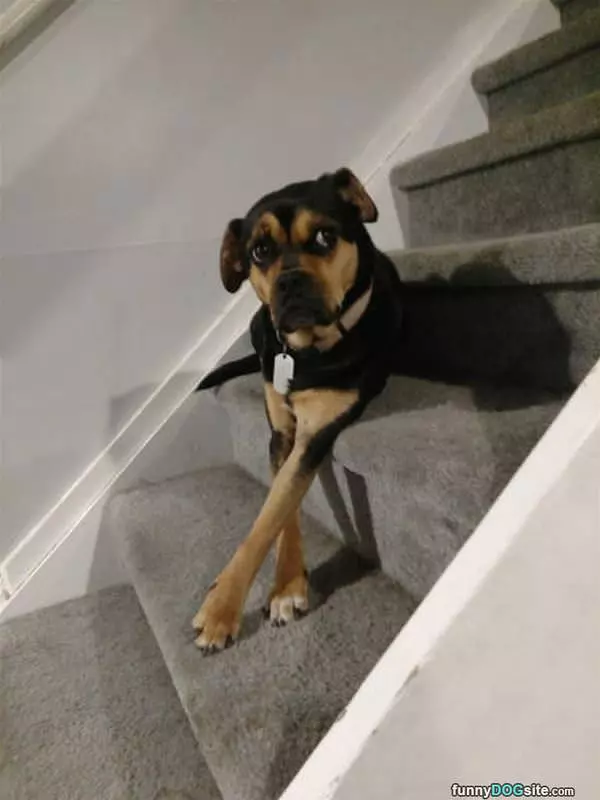 Hanging Out On The Stairs