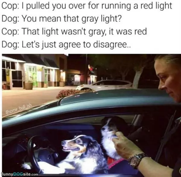 Running A Red Light