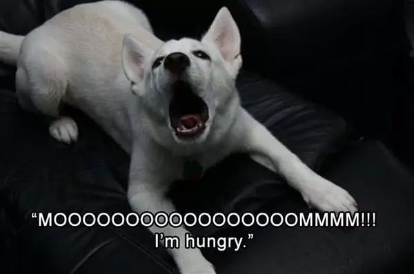Mooooooooooom Im Hungry