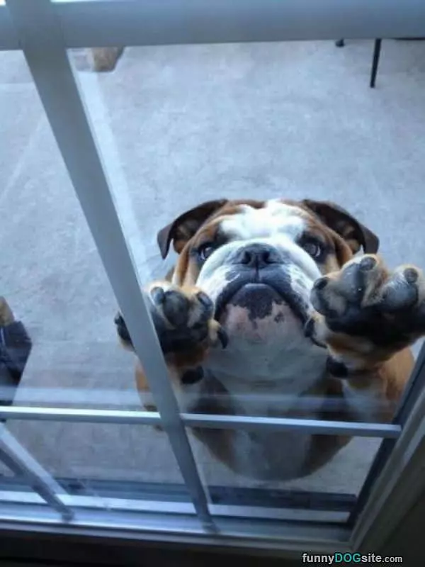 Let Me In Please
