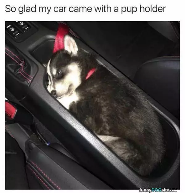 Came With A Pup Holder