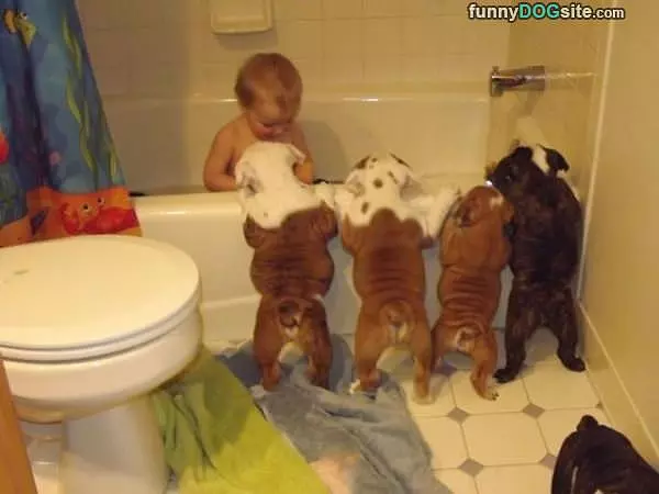 Its Bath Time For Everyone