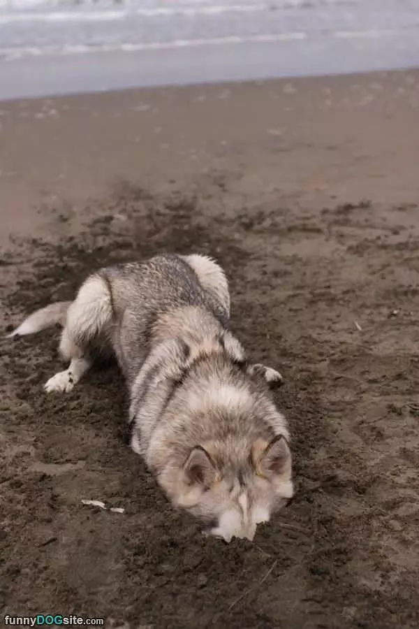 Digging A Little Hole