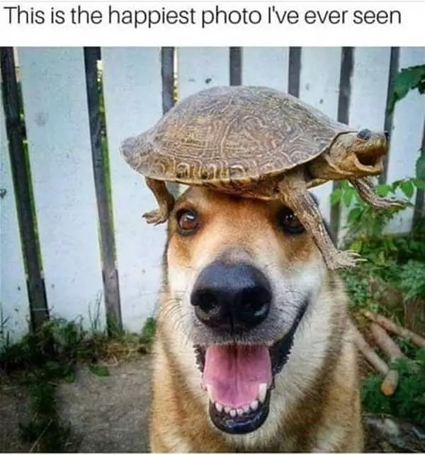 Happiest Photo I Have Ever Seen