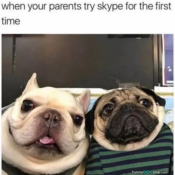 Trying Skype For The First Time