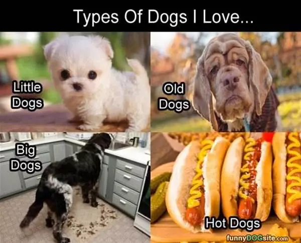 Types Of Dogs I Like