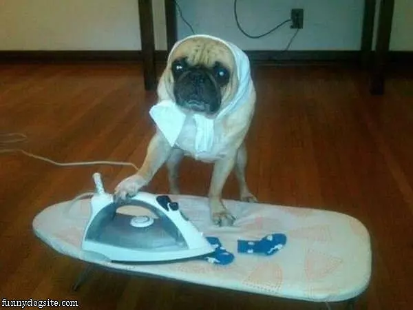 Just Ironing