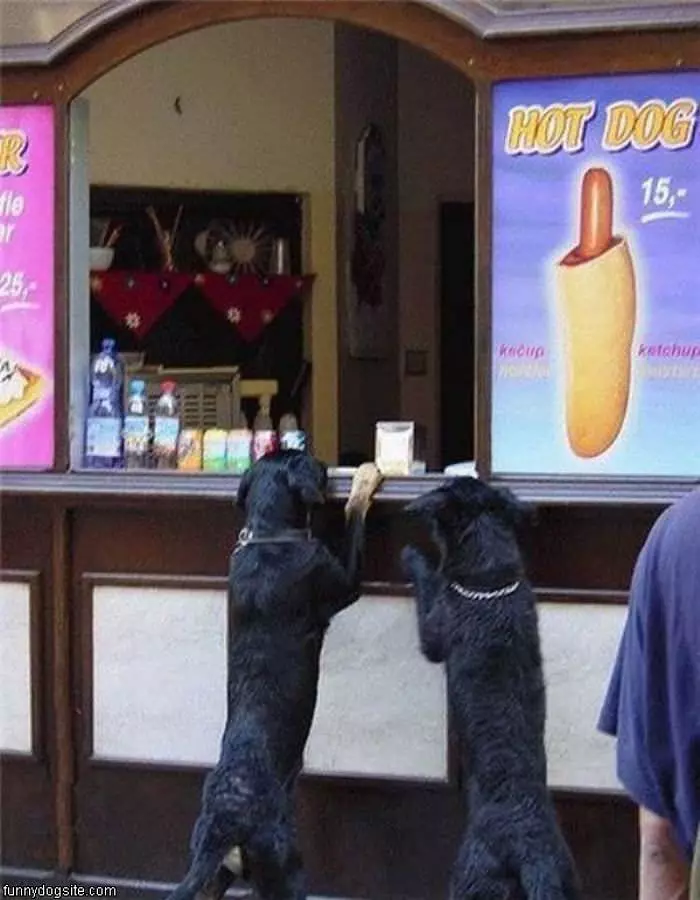 Hot Dogs Please