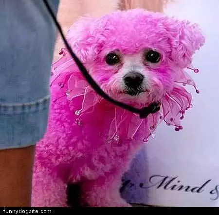Nice Pink Fur