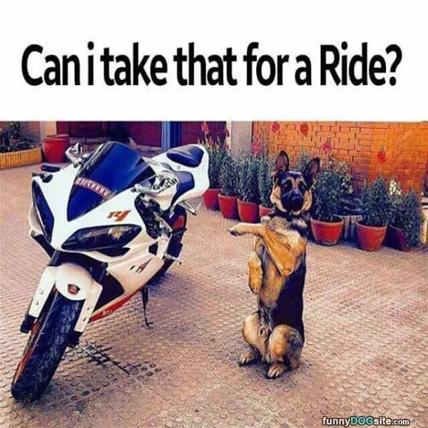 Can I Take It For A Ride