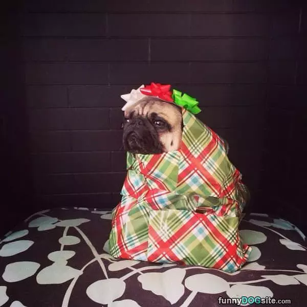 I Am Your Present