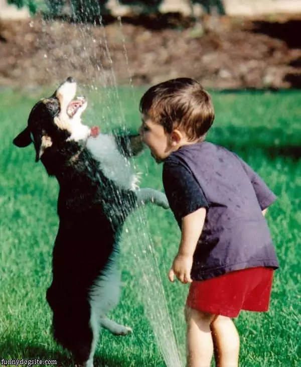 Sharing The Sprinkler