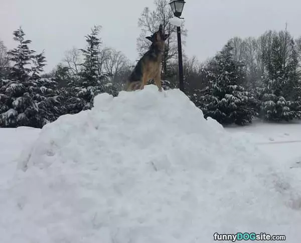 King Of The Mountain