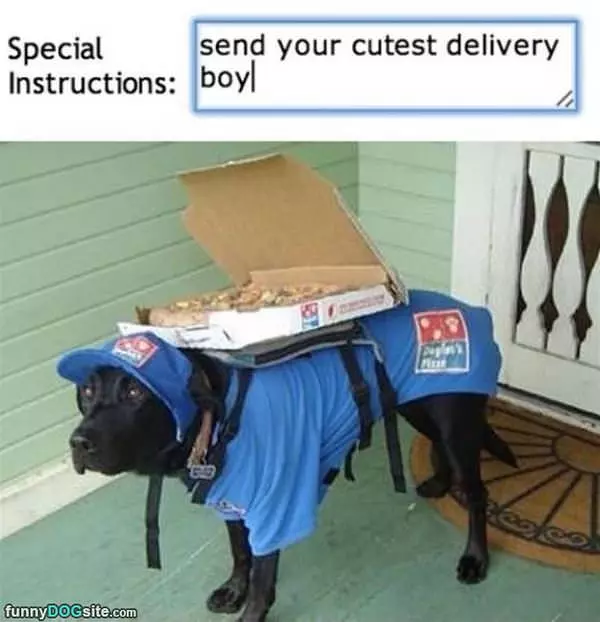 Cutest Delivery Boy