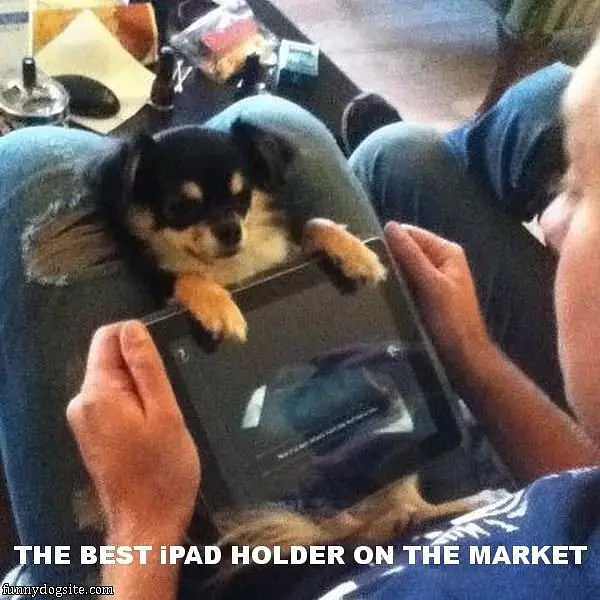Ipad Holding Dog