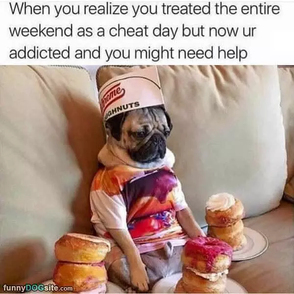 A Cheat Day