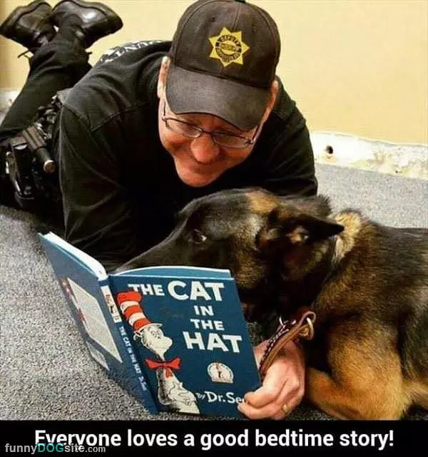 A Good Bedtime Story