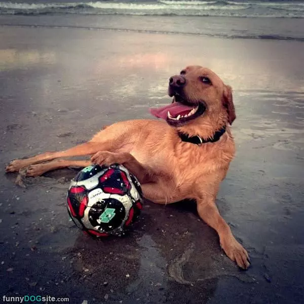This Is My Ball To Play With