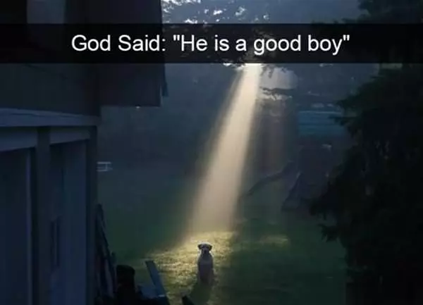 He Is A Good Boy