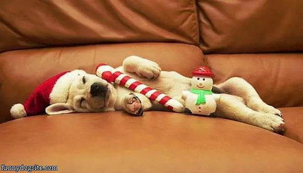 Asleep On Christmas