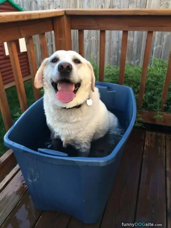 Cooling Off On A Hot Day