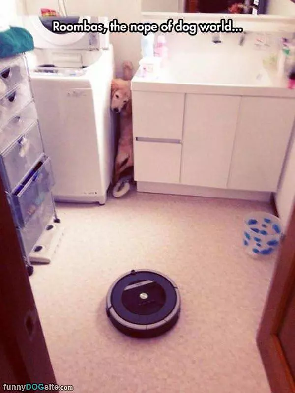 No Roombas For Me