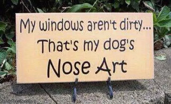 Dogs Nose Art