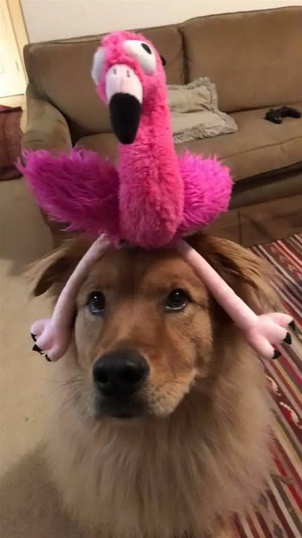 This Is My Hat