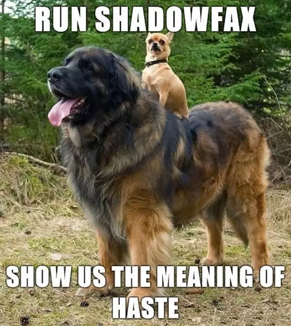 Run Shadowfax