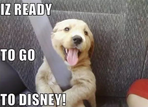 Ready For Disney