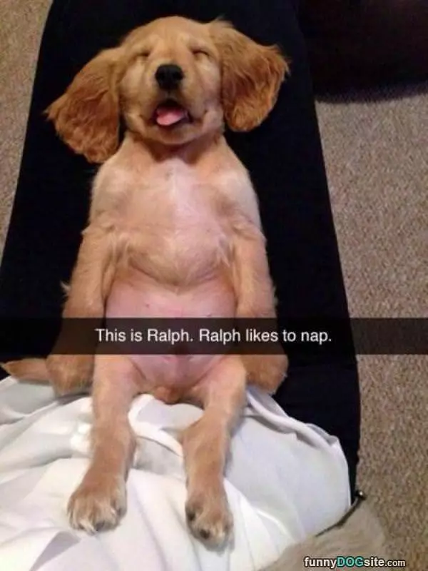This Is Ralph