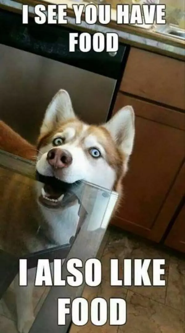 I See You Have Food