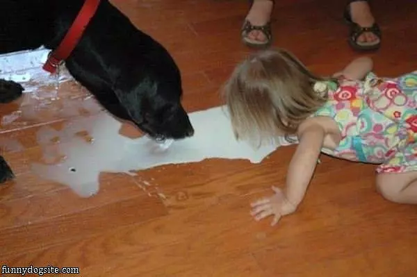 Sharing The Milk